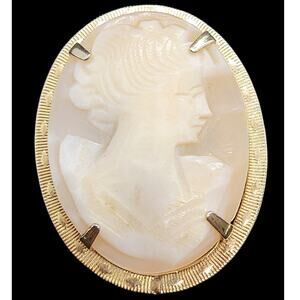 Elegant 10K Gold Shell Cameo Brooch Luxe Vintage‎ Charm Soft Wardrobe Accent